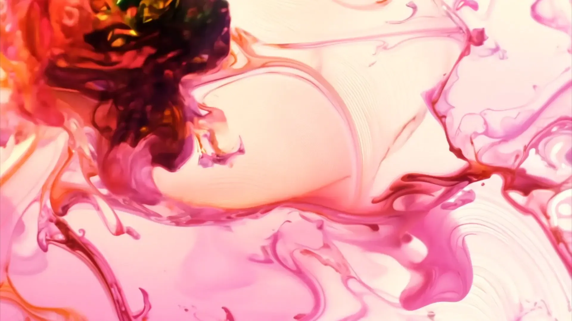 Colorful Fluid Motion Transition for Creative Cinematic Projects